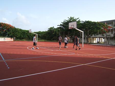 basket basse-terre